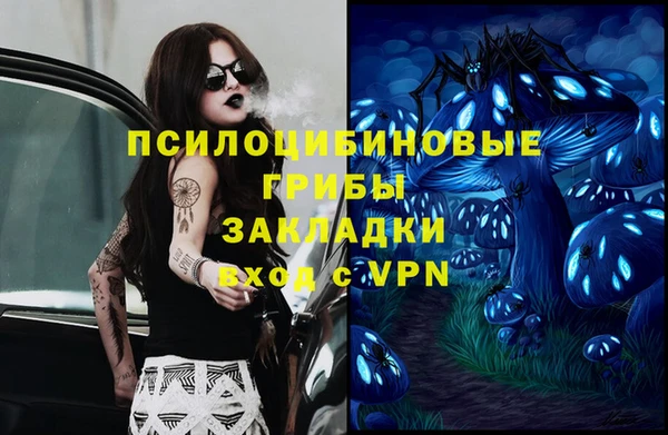 молекула духа Гусев