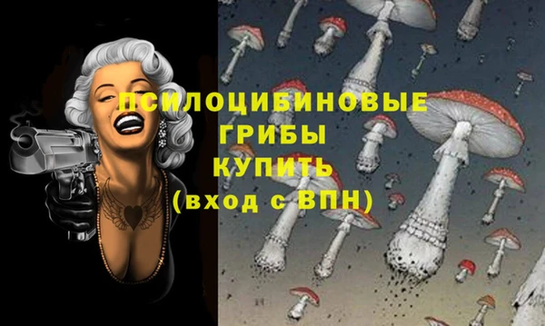 apvp Арсеньев