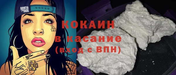 ECSTASY Ельня