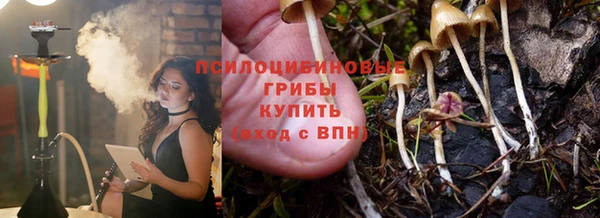 apvp Арсеньев