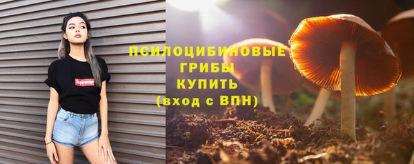 apvp Арсеньев