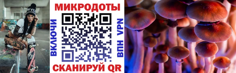 Псилоцибиновые грибы мицелий  Инта 
